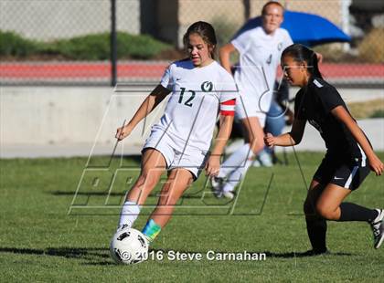 Thumbnail 1 in JV: Hillcrest @ Olympus photogallery.