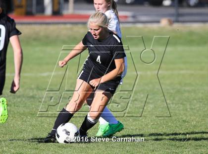 Thumbnail 1 in JV: Hillcrest @ Olympus photogallery.