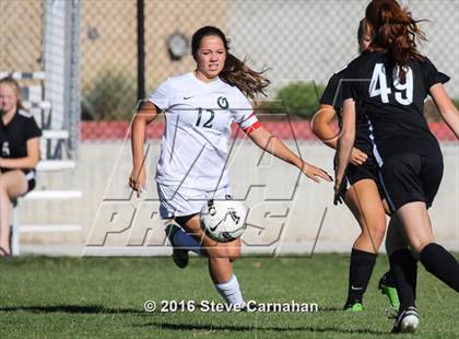 Thumbnail 1 in JV: Hillcrest @ Olympus photogallery.
