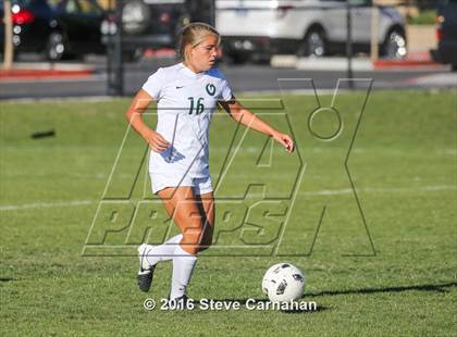 Thumbnail 1 in JV: Hillcrest @ Olympus photogallery.