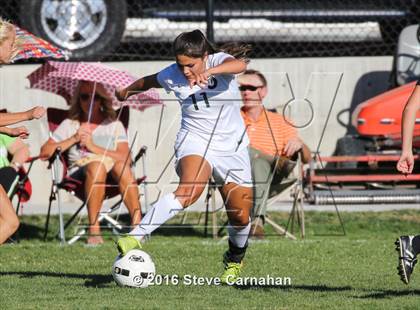 Thumbnail 2 in JV: Hillcrest @ Olympus photogallery.