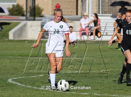 Thumbnail 3 in JV: Hillcrest @ Olympus photogallery.