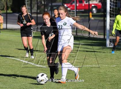 Thumbnail 1 in JV: Hillcrest @ Olympus photogallery.