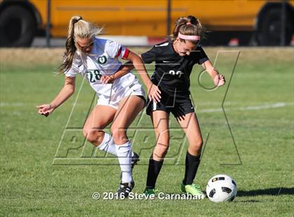 Thumbnail 2 in JV: Hillcrest @ Olympus photogallery.