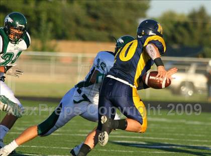 Thumbnail 3 in Eagle @ Meridian photogallery.