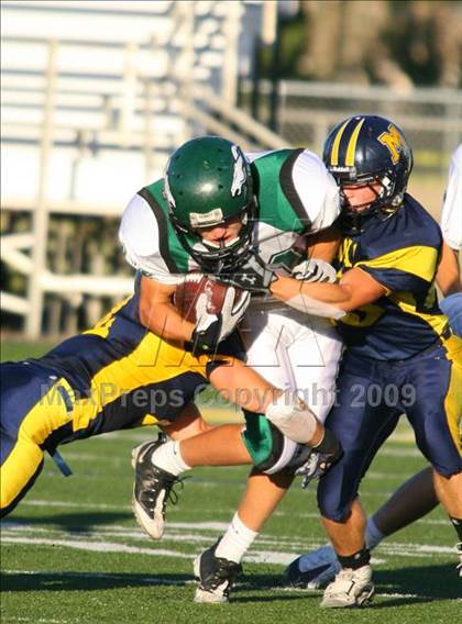 Thumbnail 3 in Eagle @ Meridian photogallery.
