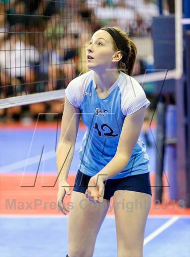 null - Photo 01
