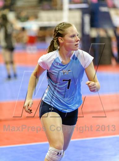null - Photo 21