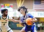 Photo from the gallery "Triton @ Pine Forest"