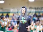 Photo from the gallery "Triton @ Pine Forest"