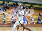 Photo from the gallery "Triton @ Pine Forest"