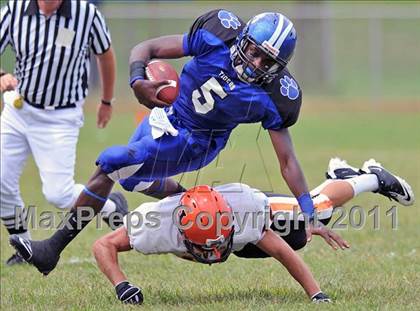 Thumbnail 2 in Hicksville @ Hempstead photogallery.