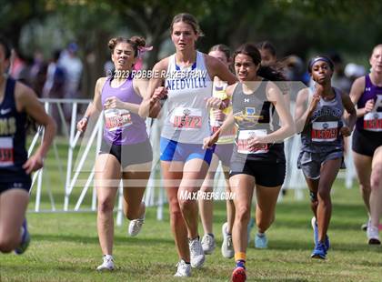 Thumbnail 1 in UIL Cross Country 4A Finals (3200M) photogallery.