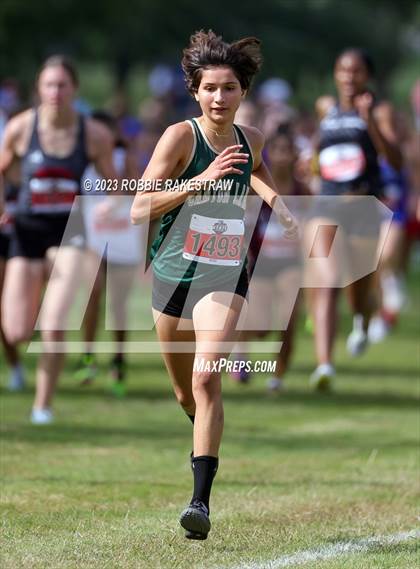 Thumbnail 2 in UIL Cross Country 4A Finals (3200M) photogallery.