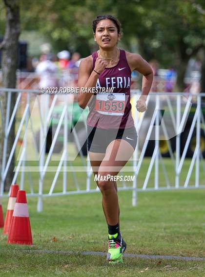 Thumbnail 3 in UIL Cross Country 4A Finals (3200M) photogallery.