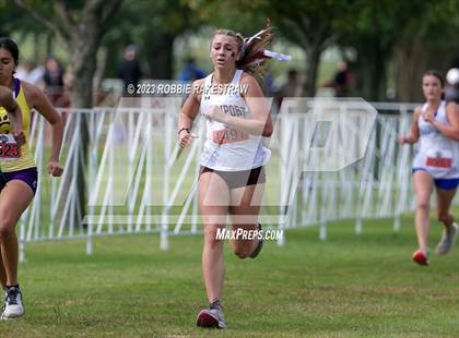 Thumbnail 1 in UIL Cross Country 4A Finals (3200M) photogallery.