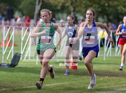 Thumbnail 1 in UIL Cross Country 4A Finals (3200M) photogallery.
