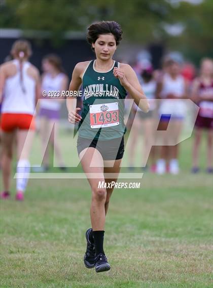 Thumbnail 1 in UIL Cross Country 4A Finals (3200M) photogallery.