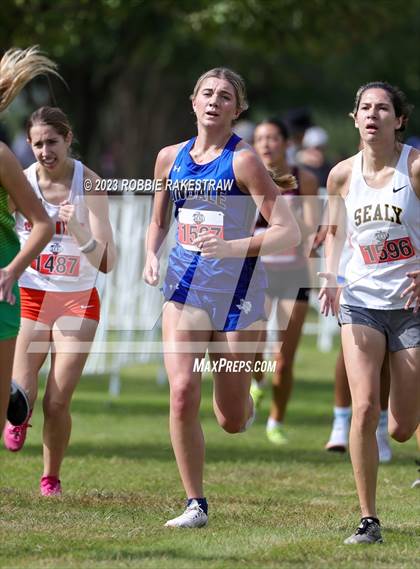 Thumbnail 1 in UIL Cross Country 4A Finals (3200M) photogallery.