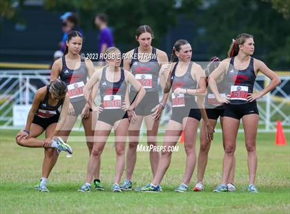 Thumbnail 2 in UIL Cross Country 4A Finals (3200M) photogallery.