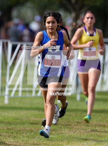 Thumbnail 1 in UIL Cross Country 4A Finals (3200M) photogallery.