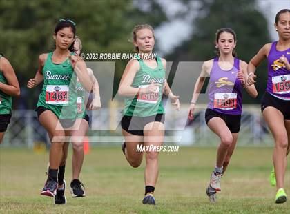 Thumbnail 2 in UIL Cross Country 4A Finals (3200M) photogallery.