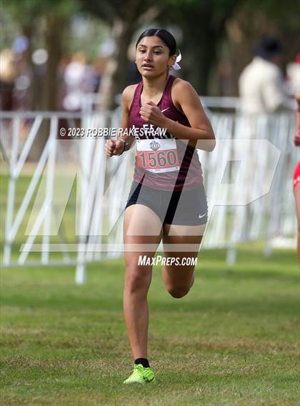 Thumbnail 1 in UIL Cross Country 4A Finals (3200M) photogallery.