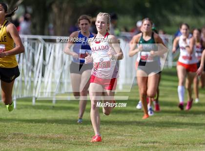Thumbnail 3 in UIL Cross Country 4A Finals (3200M) photogallery.