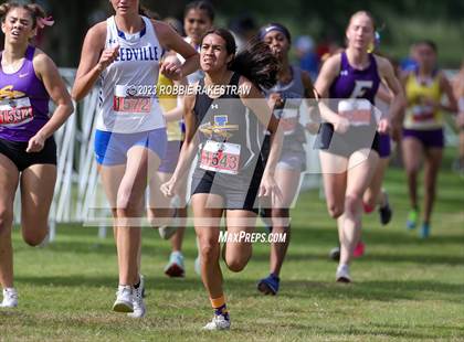 Thumbnail 2 in UIL Cross Country 4A Finals (3200M) photogallery.