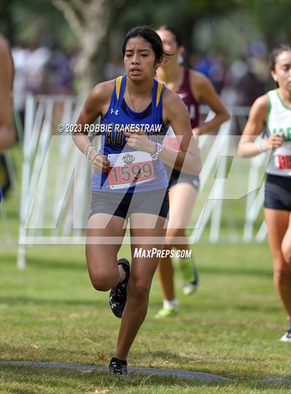 Thumbnail 1 in UIL Cross Country 4A Finals (3200M) photogallery.