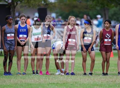 Thumbnail 3 in UIL Cross Country 4A Finals (3200M) photogallery.