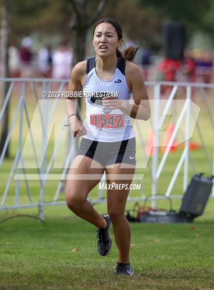 Thumbnail 2 in UIL Cross Country 4A Finals (3200M) photogallery.