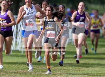 Thumbnail 1 in UIL Cross Country 4A Finals (3200M) photogallery.