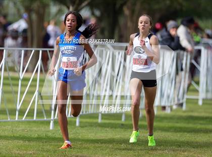 Thumbnail 2 in UIL Cross Country 4A Finals (3200M) photogallery.