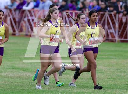 Thumbnail 3 in UIL Cross Country 4A Finals (3200M) photogallery.