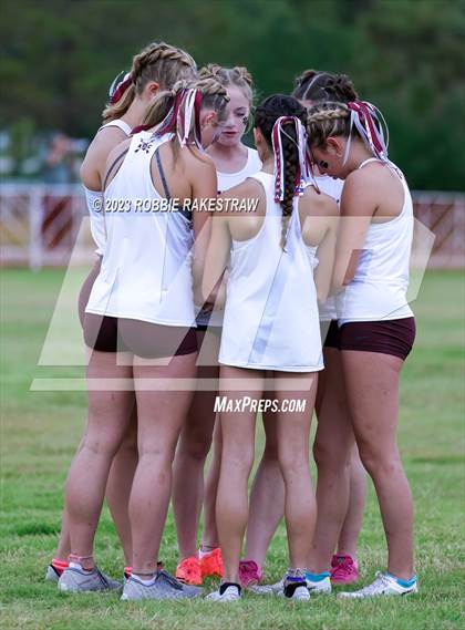 Thumbnail 2 in UIL Cross Country 4A Finals (3200M) photogallery.