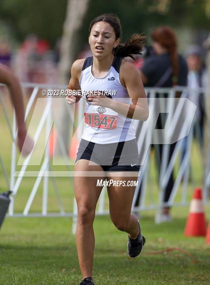 Thumbnail 1 in UIL Cross Country 4A Finals (3200M) photogallery.