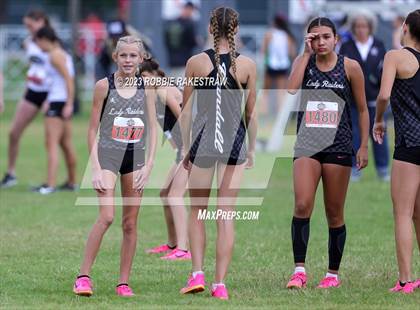 Thumbnail 1 in UIL Cross Country 4A Finals (3200M) photogallery.