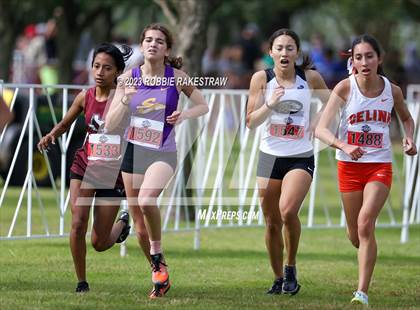 Thumbnail 3 in UIL Cross Country 4A Finals (3200M) photogallery.
