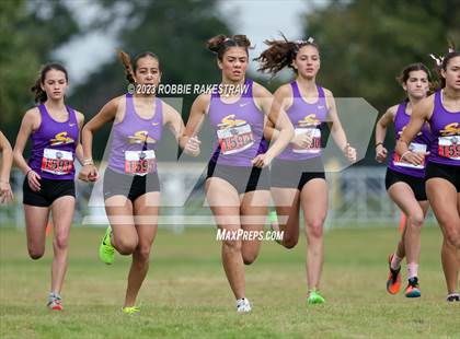 Thumbnail 1 in UIL Cross Country 4A Finals (3200M) photogallery.