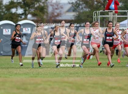 Thumbnail 1 in UIL Cross Country 4A Finals (3200M) photogallery.