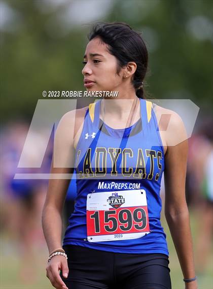 Thumbnail 1 in UIL Cross Country 4A Finals (3200M) photogallery.