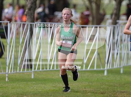 Thumbnail 1 in UIL Cross Country 4A Finals (3200M) photogallery.