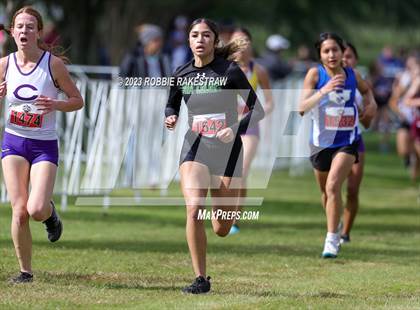 Thumbnail 1 in UIL Cross Country 4A Finals (3200M) photogallery.