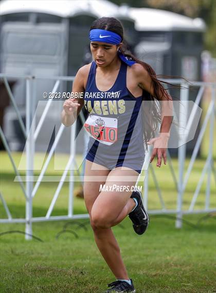 Thumbnail 3 in UIL Cross Country 4A Finals (3200M) photogallery.