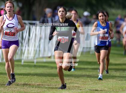 Thumbnail 2 in UIL Cross Country 4A Finals (3200M) photogallery.