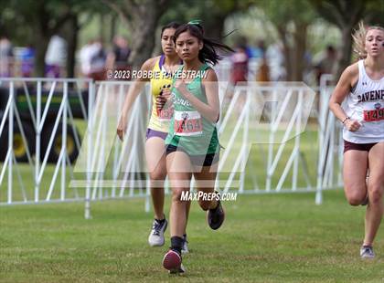 Thumbnail 2 in UIL Cross Country 4A Finals (3200M) photogallery.