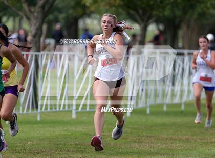Thumbnail 3 in UIL Cross Country 4A Finals (3200M) photogallery.