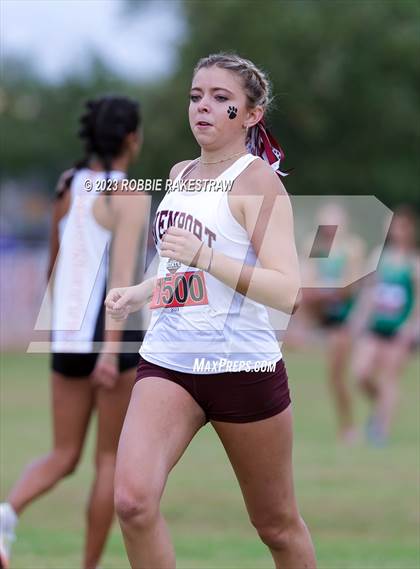 Thumbnail 1 in UIL Cross Country 4A Finals (3200M) photogallery.