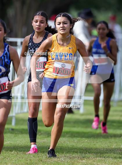 Thumbnail 2 in UIL Cross Country 4A Finals (3200M) photogallery.